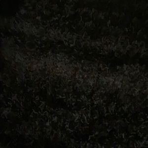 Meet your Posher, Shamya